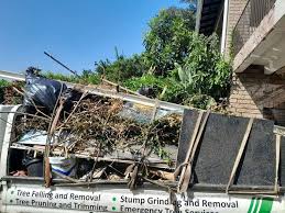 Best Dumpster Rental Services  in Wingate, NC